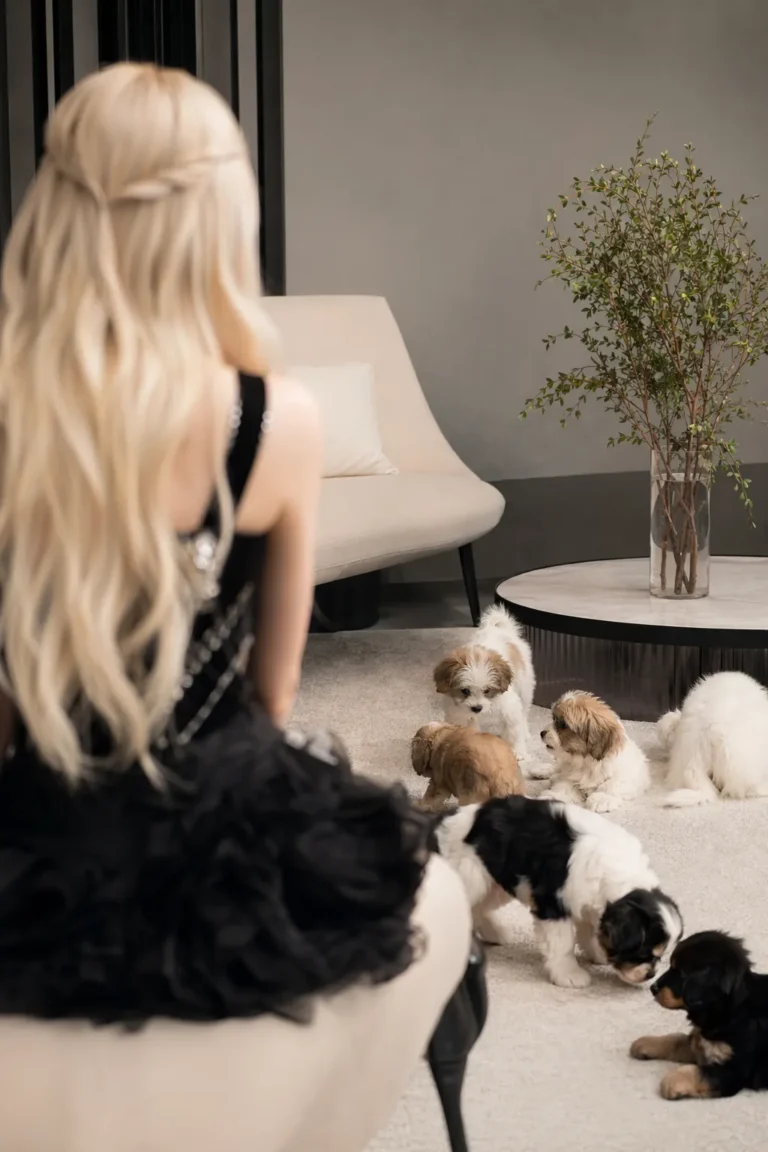 A K-pop singer-inspired figure in a studio puppy interview scene with playful puppies, photographed without identifiable face detail.