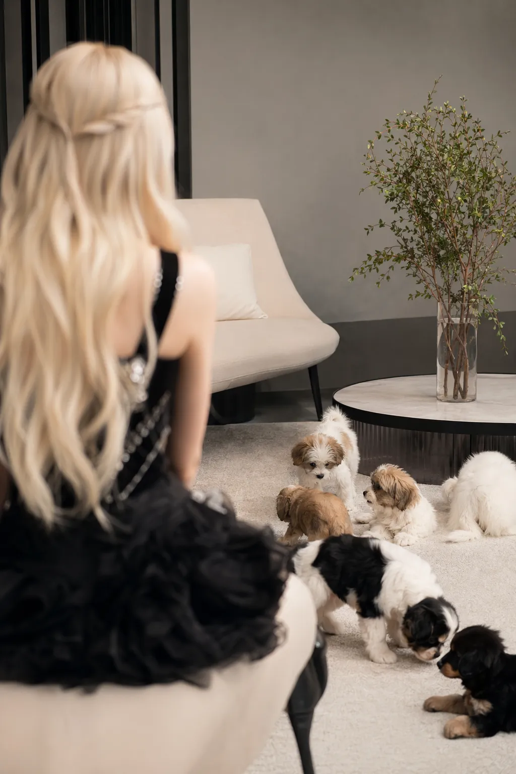 A K-pop singer-inspired figure in a studio puppy interview scene with playful puppies, photographed without identifiable face detail.