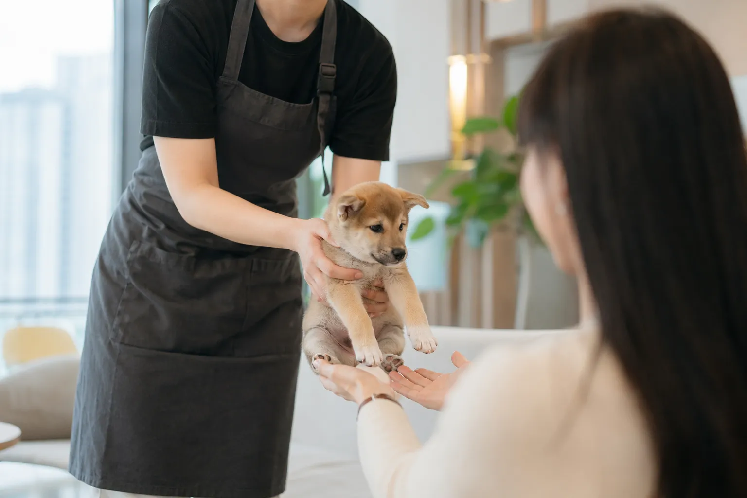 A face-obscured stylish woman meeting a puppy in a modern Seoul adoption lounge.