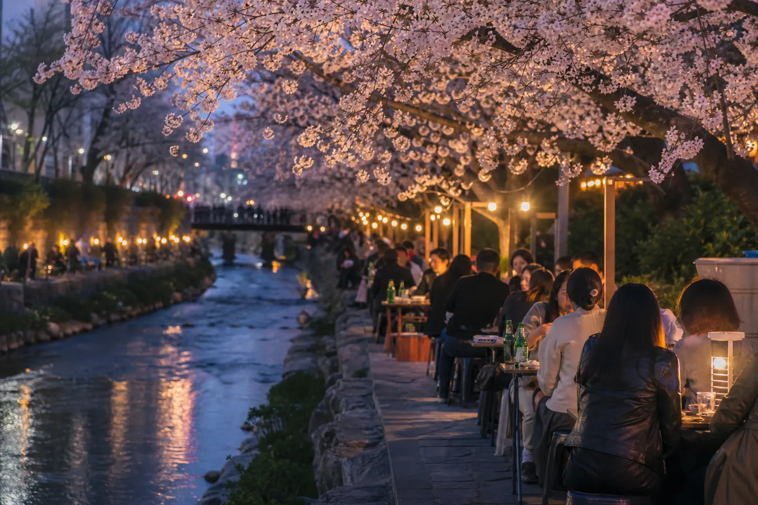 Seongbukcheon cherry blossom yajang Seoul spring culture guide
