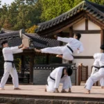 Namsangol Hanok Village Taekwondo Performance 2026 Seoul Weekend Guide stage concept