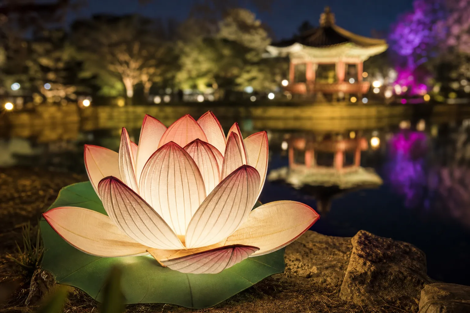 Changgyeonggung Moonlight Lotus May 3 2026 final night visit FAQ