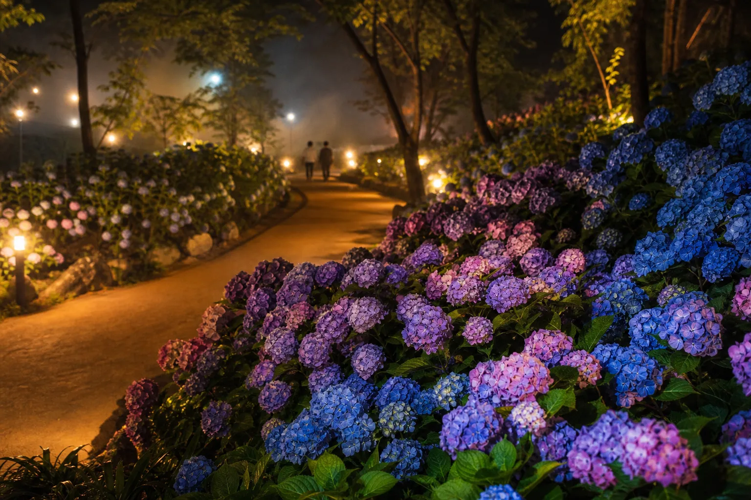 Worasan Hydrangea Festival Night Opening Guide evening views