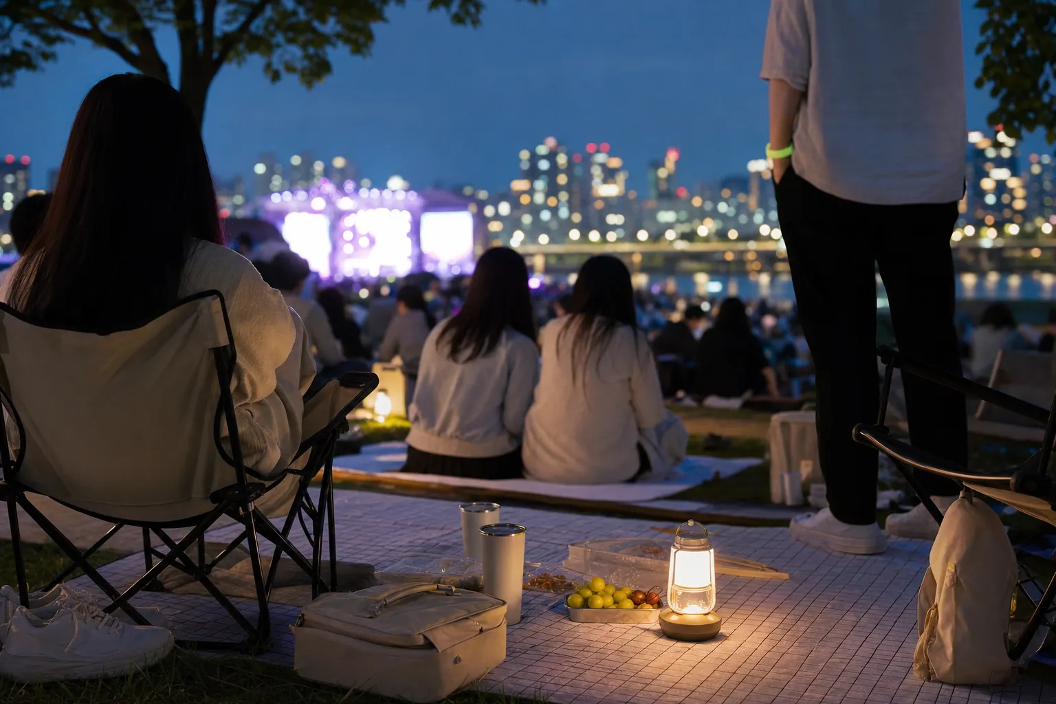 Gangnam Picnic Concert 2026 Guide: Free Hangang Night Picnic Event, Lineup, Entry, and Fireworks 2 Gangnam Picnic Concert Sinsa Jamwon Hangang Park picnic zone guide