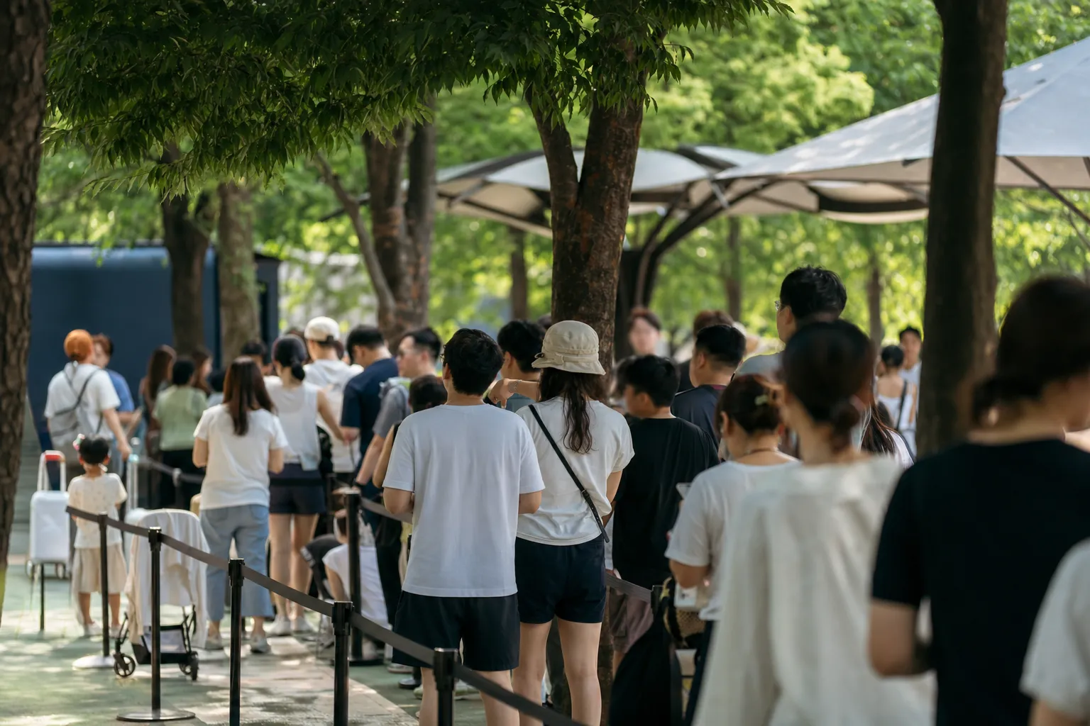 Pokémon Secret Forest Ends June 21: Final-Day Guide for Seoul Forest Visitors 2 Pokémon Secret Forest Seoul Forest waiting system final day concept