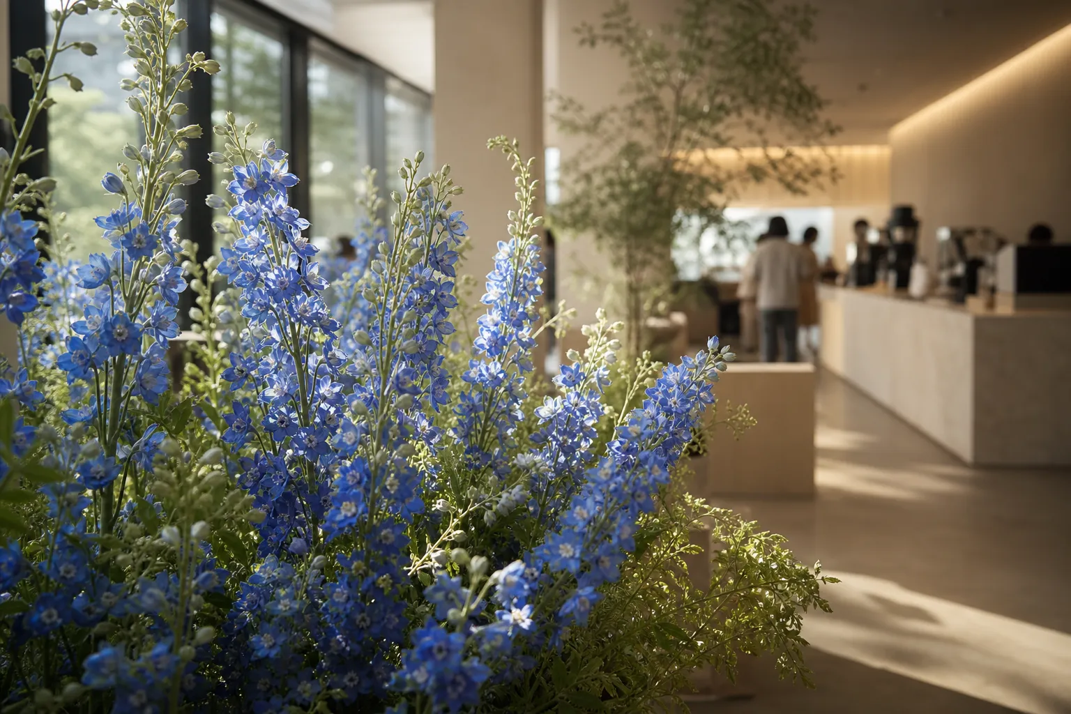 카페 콜린 델피늄 Hongdae Seoul cafe flower mood