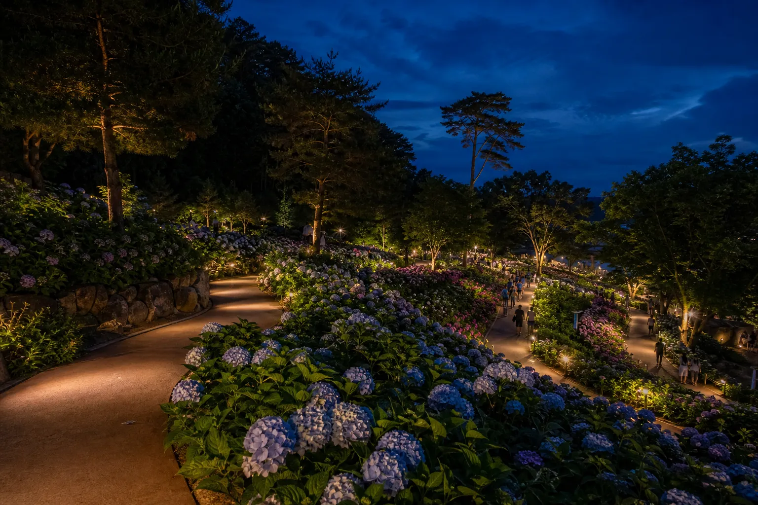 Worasan Hydrangea Festival night opening hours and access