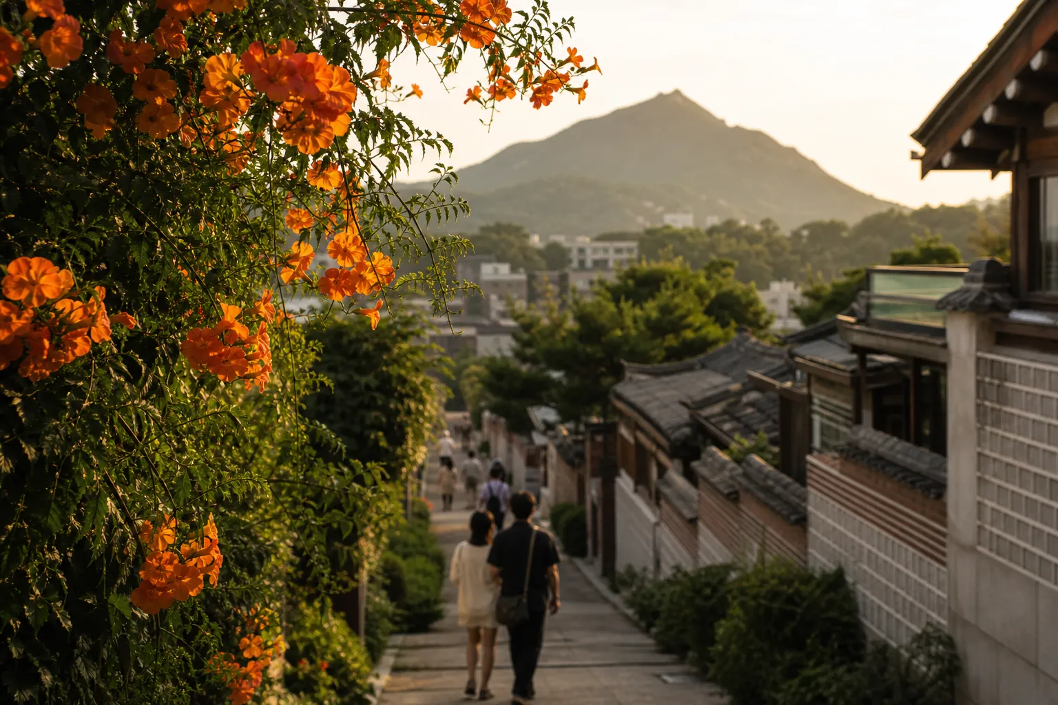 Seochon Orange Trumpet Vine Walk: A Warm Route Near Inwangsan and daechungpark 2 Seochon Orange Trumpet Vine Walk Inwangsan Seoul route