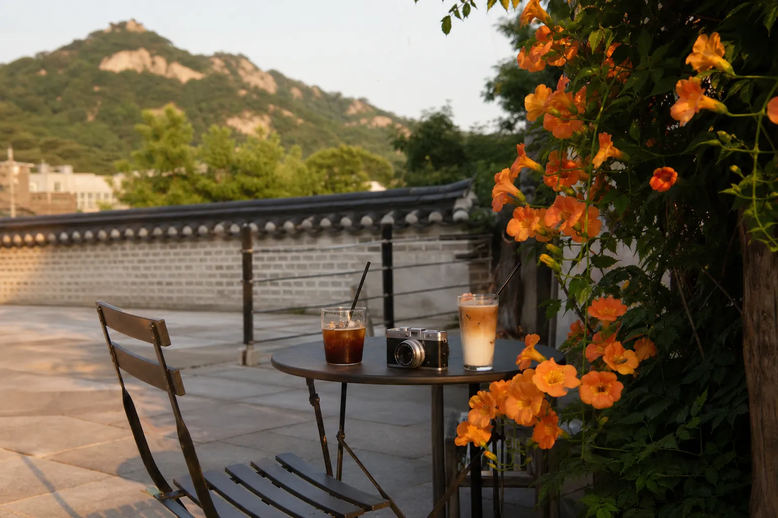 Seochon Orange Trumpet Vine Walk: A Warm Route Near Inwangsan and daechungpark 3 daechungpark cafe pause on Seochon orange trumpet vine walk